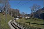 Die MOB GDe 4/4 6005 ist kurz vor Montbovon mit einem GoldenPass Panoramic unterwegs.