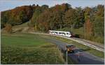 Ein TPF SURF  ABe 2/4 | B | Be 2/4 auf dem Weg nach Bulle zwischen Châtel-St-Denis und Semsales.