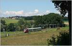 Ein TPF Flirt auf seiner Fahrt nach Bulle zwischen Fribourg und Romont.