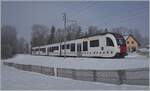 Der TPF SURF ABe 2/4 - B - Be 2/4 103 auf der Fahrt von Bulle nach Palézieuy erreicht  Semsales.