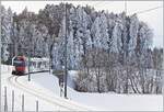 Ein TPF Regionalzug ist kurz vor Vaulruz auf dem Weg nach Bulle.