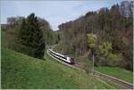 Ein SBB RBDe 560 Domino ist bei Pensier auf der Fahrt in Richtung Fribourg.