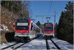 In Trois Villes kreuzen ischzwei Travy SURF Regionalz�ge.