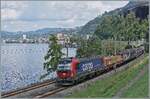Die längerfristig die SBB Cargo vermietet 193 061 ist bei Villeneuve mit einem Güterzug auf dem weg in Richtnung St-Maurice.