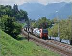 Ebenfals bei Villeneuve, aber aus der Gegenrichtung zeigt sich die SBB Cargo International 193 470 mit dem Novelis Güterzug von Sierre nach Göttingen, womit wohl diese Liestung wieder von der DB auf die SBB übergegangen ist.

30. Juli 2025

