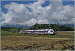 Ein SBB LEX RABe 522 ist als Léman Express bei Satigny als SL5 unterwegs.