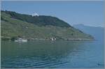 Krasser Gegensatz zum vorhergegangen Bild - hier muss man den Zug suchten: in der zauberhaften Landschaft des Lavaux sind zwei SBB Flirt RABe 523 auf dem Weg von Vevey in Richtung Lausanne. 

18. Juni 2026