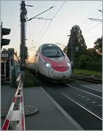 Bei der einbrechenden Dämmerung ist ein SBB RABe 503  Pinocchio  in Bregenz auf dem Weg in Richtung Lindau Reutin.