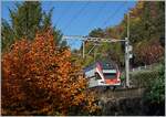 Der bunte Herbst verweisst den SBB KISS 511 038 bei Veytaux zur Nebenrolle...