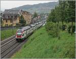 Der SBB RABe 511 111 und ein weiterer sind bei La Tour de Peilz als RE 33 auf dem Weg von Annemasse (F) nach St-Maurice. 

21. Juni 2024