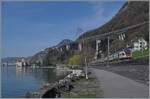 Ein SBB RABe 511 ist als RE 33 beim Château de Chillon auf dem Weg von Annemasse nach St-Maurice. 

3. April 2025