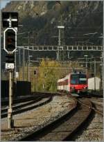 Ein Walliser Domino erreicht Brig.