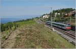 Ein SBB RBDe 560  Domino  auf dem Weg nach Kerzers kurz nach La Conversion.