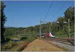 Auf einer Karte habe ich entdeckt, dass es von La Plaine (Schweiz) nach Pougny-Chancy (Frankreich) einen schönen Weg gibt, der zum grösstenteils der Bahnlinie folgt und dies erst noch