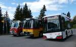 (286'905) - AAGS Schwyz - Nr. 6/SZ 5006 - eSolaris a, 9. Mai 2026 in Ibergeregg, Passh�he