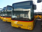 (220'698) - AutoPostale Ticino - PID 11'442 - Iveco am 12.