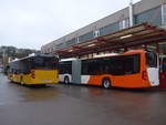 (210'856) - Rattin, Neuhausen - ZH 28 U - Mercedes + Gen�ve-Tours, Gen�ve - ZH 26 U - Mercedes am 8.