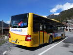 (260'511) - GrindelwaldBus, Grindelwald - Nr.