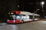 (282'933) - SW Winterthur - Nr. 114 - Hess/Hess Gelenktrolleybus am 10. Dezember 2025 in Winterthur, W�lflingen