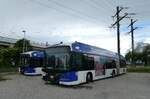 (286'995) - TL Lausanne - Nr. 889 - Hess/Hess Gelenktrolleybus am 14. Mai 2026 in Kerzers, Murtenstrasse