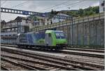 Die BLS Re 485 erreicht von Frutigen kommend den Bahnhof Spiez, wo die Lok in der Folge abgestellt wird, da durch die baubedinget Streckensperrung Iselle  - Domo der Tranistgüterverkehr vom 9.