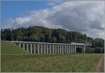 Sehr eindrücklich zeigt sich der 393 Meter lange Gümmenenviadukt über die Saane. Zwei BLS RABe 525  NINA  sind als S 5 15545 von Kerzers nach Bern unterwegs. 

5. Oktober 2024 