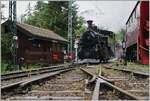 Bilder dieser Art kan man nur in einem Museum machen, wo die (Freiwilligen) Mitarbeiter geschult sind auf alle Gefahren, wie Kinder Hund und Fotografen Acht zu geben. 
Die BFD HG 3/4 N° 3 der Blonay Chamby Bahn ist mit ihrem Zug in Chaulin angekommen und dampft nun zur Lokbehandlung. 

6. Juli 2024