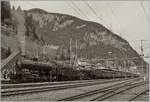 Die  Elefanten  C 56/6 2978 und 2969 mit ihrem Dampfextraug Erstfeld - Bellinzona in Göschenen.