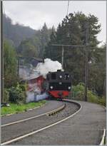 La DER de la Saison / Das Saison Ende der Blonay Chamby Bahn 2024 - Seit einigen Jahren zeigt die Blonay Chamby Bahn zum Saison Ende mit einem verdichteten Fahrplan noch einmal ihrere herrlichen