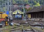 Ein Stahlzug mit Am 847 003 'Littau' der Panlog wartet zum weiteren Rangieren in Gleis 1 in Emmenbrücke. Im vielfrequentierten Bahnhof mit seiner Handvoll Gleisen steht der Zug durchaus im Weg. August 2021.