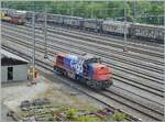 Die SBB Am 843 ist im weitl�ufige Bahnhof von Lausanne Triage unterwegs. Da eine Br�cke quer �ber den Rangierbahnhof (und die Streckengleise Lausane Gen�ve) f�hrt, bekommt man hier immer wieder interessante Bilder, ohne auch nur ansatzweise  Bahngel�nde  zu betreten. 

29. April 2026