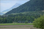 150 Jahre Emmentalbahn. 

141-R-1244 auf dem Rückweg von der grossen Emmentalrundfahrt anlässlich des Jubiläums. Bei Unterengg, Malters geht es bereits die Steigung nach Littau hinauf, während im Hintergrund die Königin der Berge wartet. Am Zugschluss hilft Ae 6/6 11407 'Aargau' noch ein wenig mit. Mai 2025.