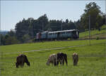 Historische Seethalbahn in Aktion.