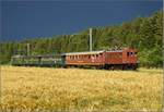 Hommage an eine schräge Schweizer Rennsemmel... Te 2/3 31 der BLS war ursprünglich weder Triebwagen noch Lok, sondern an einen Wagen fest gekoppelt und daher als CFe 2/6 784 bezeichnet. Nur zwei dieser seltsamen Gespanne wurden gebaut 1925 und als Halbesel bezeichnet, 1953 wurde die Triebeinheit getrennt und zu einer Rangierlok Te 2/3 umgebaut. Hier beim Zubringerdienst zum Bernischen Schwingfest. Unterwaltrigen, Juli 2017. (Ersatzbild wegen falscher Größe...)