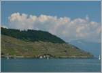 Suche den Zug: Ein IR Genve-Brig fhrt zwischen Cully und Lutry an den wunderschnen Weinbergterrassen des Lavaux vorbei, aufgenommen vom Schiff LA SUISSE auf dem Genfersee.