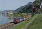 Vor der Kulisse des Château de Chillon ist die SBB Re 6/6 11634 (Re 620 034-9)  Aarburg-Ofrtingen  mit einem Dienstbauzug auf dem Weg in Richtung St-Maurice.

17. April 2026