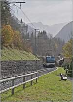 Kurz nach Gstaad erklimmt die MOB Ge 4/4 800 mit ihrem GoldenPass Express auf der Fahrt von  Montreux nach Interlaken die Steigung in Richtung Schönried.