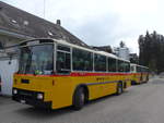 (203'483) - Bernair, M�nsingen - BE 651'182 - Saurer/T�scher (ex Schebath, Lauerz; ex Albin, F�llanden; ex Heim, Flums) am 7.