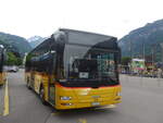 (226'117) - PostAuto Bern - BE 422'461 - MAN/G�ppel (ex AVG Meiringen Nr.