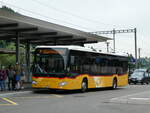 (236'102) - PostAuto Bern - BE 543'090 - Mercedes am 22.