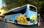 (278'787) - B�hrer, Hirzel - ZH 66'137 - Setra am 9.