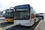 (285'641) - Intertours, Domdidier - Nr. 699 - Solaris (ex PostBus/A BD 15'716) am 21. M�rz 2026 in Kerzers, Interbus