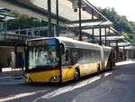 (229'205) - AutoPostale Ticino - TI 339'211 - Solaris am 14.