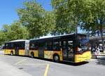 (276'014) - CarPostal Ouest - VD 305'217/PID 10'356 - Solaris am 30.