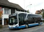 (256'263) - VBZ Z�rich - Nr.