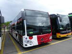 (274'612) - TPF Fribourg - (620'318) - Mercedes am 3.