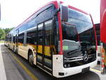 (276'141) - PostAuto Wallis - PID 12'139 - eMercedes am 31.