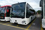 (279'596) - ARAG Ruswil - (146'055) - Mercedes am 29.