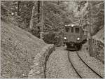 Die Strecke der Blonay-Chamby Bahn ist mit gut drei Kilometer nicht sehr lang, und doch bietet sie unzhlige Fotomotive, wie z.B hier kurz vor der Baie de Clarens Brcke im Wald oberhalb von Blonay