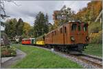 La DER de la Saison / Das Saison Ende der Blonay Chamby Bahn 2025 - Seit einigen Jahren zeigt die Blonay Chamby Bahn zum Saison Ende mit einem verdichteten Fahrplan noch einmal ihre herrlichen Fahrzeuge im Einsatz: Mein Bild-Farvorit ist dieses Foto, welches neben dem RhB ABe 4/4 I 35 an der Spitze des Riviera Belle Epoque Zuges am Schluss die prächtige RhB Ge 4/4 81 auf der Fahrt von Chaulin nach Vevey als Zug 358152 kurz vor Blonay zeigt. (Beide Triebfahrzeuge sind Eigenturm der Blonay-Chamby Bahn.) 26. Oktober 2025